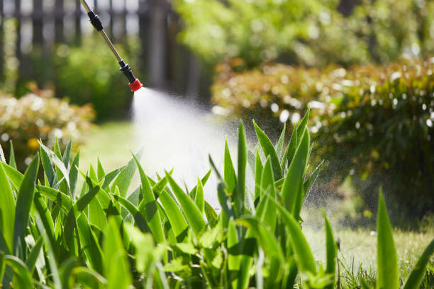 24/7 Emergency Termite Control experts in Dermott, AR